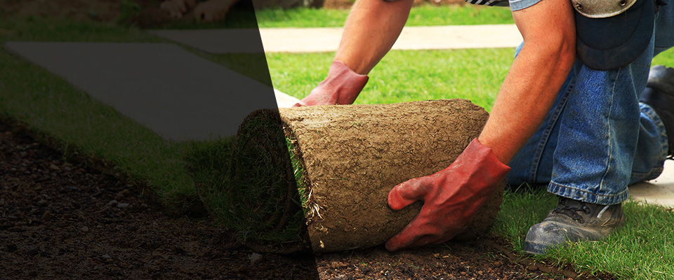 Oak Harbor Landscapers